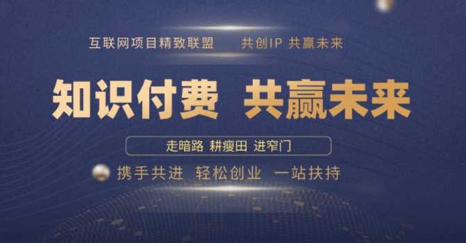 别人苦寻无果，为何他们靠知识付费卖项目 2025 年轻松年入100个?【揭秘】-富爸爸项目圈