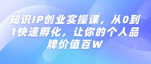 知识IP创业实操课，从0到1快速孵化，让你的个人品牌价值百W-富爸爸项目圈