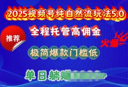2025视频号纯自然流玩法5.0，全程托管高佣金，极简爆款门槛低，单日收益多张【揭秘】-富爸爸项目圈