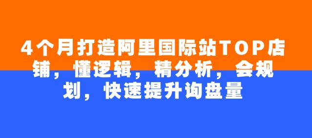 4个月打造阿里国际站TOP店铺，懂逻辑，精分析，会规划，快速提升询盘量-富爸爸项目圈