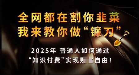 知识付费如何做到月入过W+，2025我来教你做“镰刀”【揭秘】-富爸爸项目圈