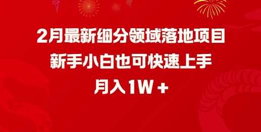 2月最新细分领域落地项目，新手小白也可快速上手，月入1W-富爸爸项目圈