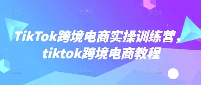 TikTok跨境电商实操训练营，tiktok跨境电商教程-富爸爸项目圈
