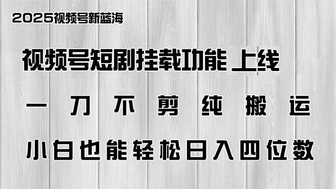 （14310期）视频号短剧挂载功能上线，一刀不剪纯搬运，小白也能轻松日入四位数-富爸爸项目圈