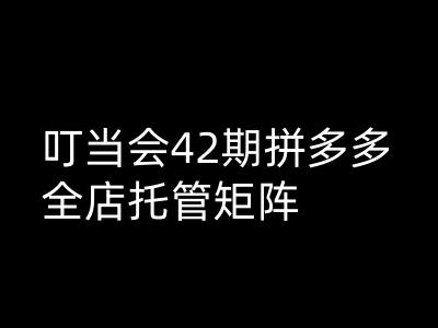 叮当会拼多多打爆班原创高阶技术第42期，拼多多全店托管矩阵-富爸爸项目圈