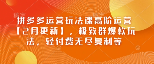 拼多多运营玩法课高阶运营【2月更新】，极致群爆款玩法，轻付费无尽复制等-富爸爸项目圈