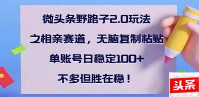 （14334期）微头条野路子2.0玩法之相亲赛道，无脑搬砖复制粘贴，单账号日稳定300+…-富爸爸项目圈