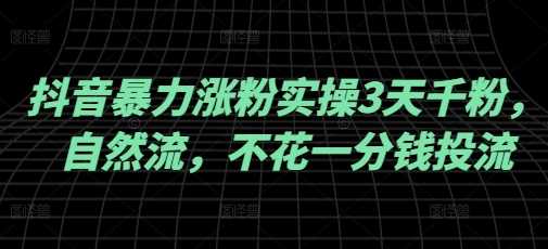 抖音暴力涨粉实操3天千粉，自然流，不花一分钱投流，实操经验分享-富爸爸项目圈