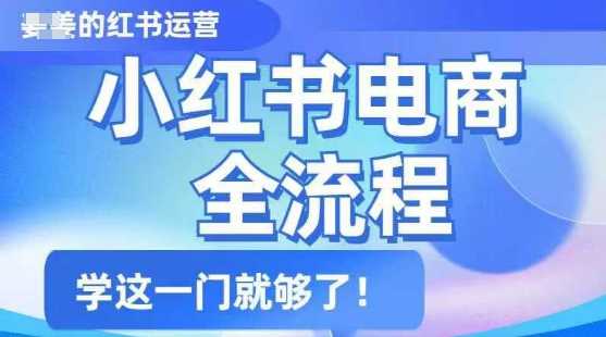小红书电商全流程，精简易懂，从入门到精通，学这一门就够了-富爸爸项目圈