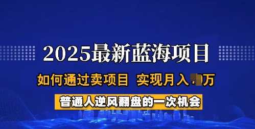 2025蓝海项目，普通人如何通过卖项目，实现月入过W，全过程【揭秘】-富爸爸项目圈