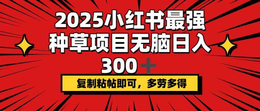（14375期）2025小红书最强种草项目，无脑日入300+，复制粘帖即可，多劳多得-富爸爸项目圈