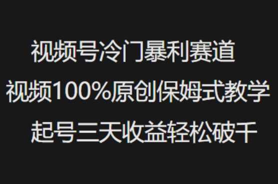 视频号冷门暴利赛道视频100%原创保姆式教学起号三天收益轻松破千-富爸爸项目圈