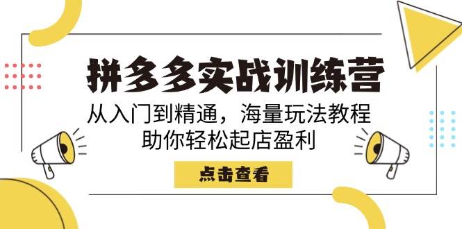 （14392期）拼多多实战训练营，从入门到精通，海量玩法教程，助你轻松起店盈利-富爸爸项目圈