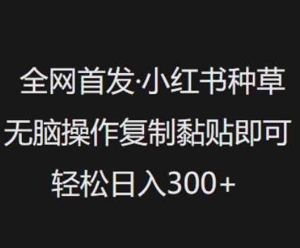 全网首发，小红书种草无脑操作，复制黏贴即可，轻松日入3张-富爸爸项目圈