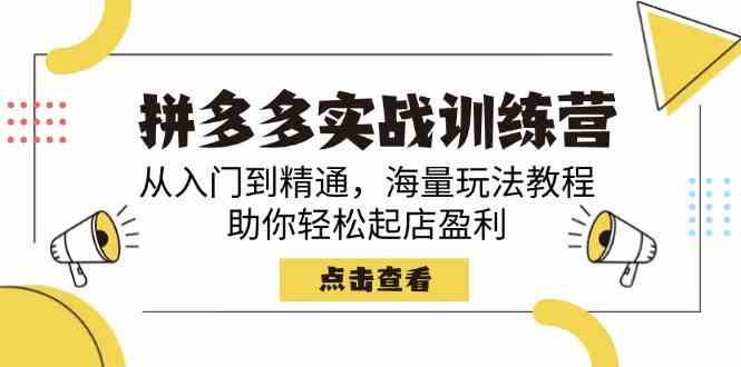 拼多多实战训练营，从入门到精通，海量玩法教程，助你轻松起店盈利-富爸爸项目圈