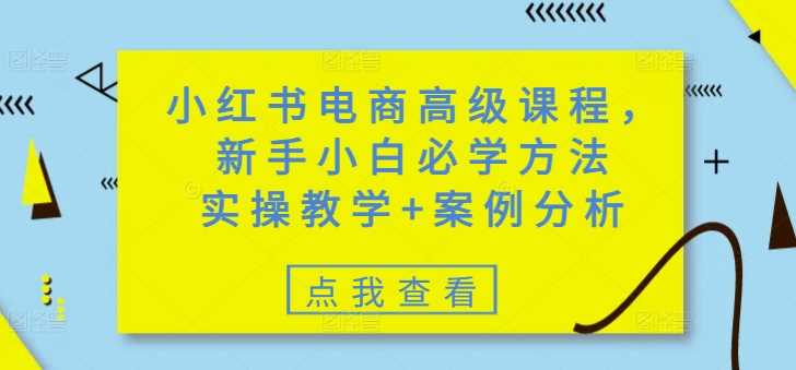 小红书电商高级课程，新手小白必学方法，实操教学+案例分析-富爸爸项目圈