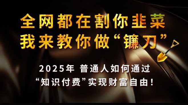 全网都在割你韭菜，我来教你做镰刀,2025普通人如何通过知识付费，实现财F自由【揭秘】-富爸爸项目圈