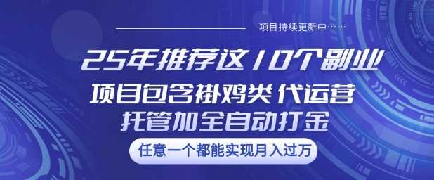 25年推荐这10个副业项目包含褂鸡类、代运营托管类、全自动打金类【揭秘】-富爸爸项目圈