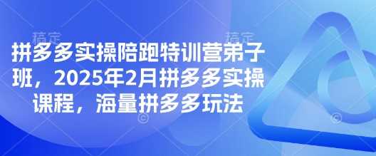 拼多多实操陪跑特训营弟子班，2025年2月拼多多实操课程，海量拼多多玩法-富爸爸项目圈