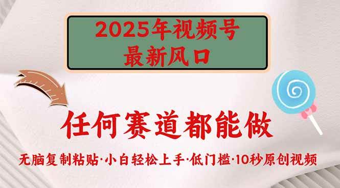 （14453期）2025年视频号新风口，低门槛只需要无脑执行-富爸爸项目圈