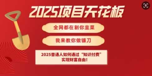 2025项目天花板普通人如何通过知识付费，实现财F自由【揭秘】-富爸爸项目圈