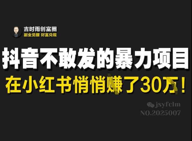 抖音不敢发的暴利项目，在小红书悄悄挣了30W-富爸爸项目圈