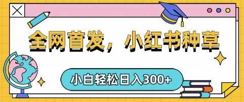 小红书种草，手机项目，日入3张，复制黏贴即可，可矩阵操作，动手不动脑【揭秘】-富爸爸项目圈