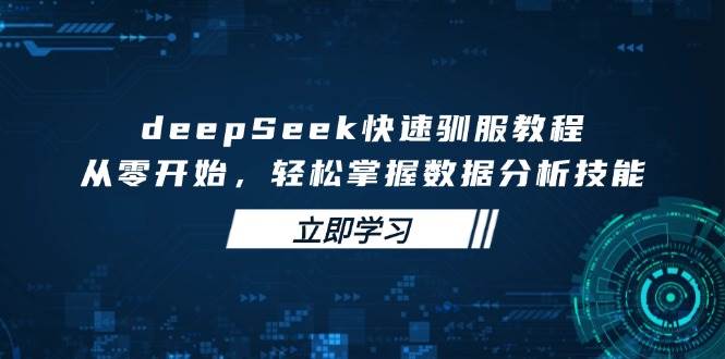 deepSeek快速驯服教程，从零开始，轻松掌握数据分析技能-富爸爸项目圈