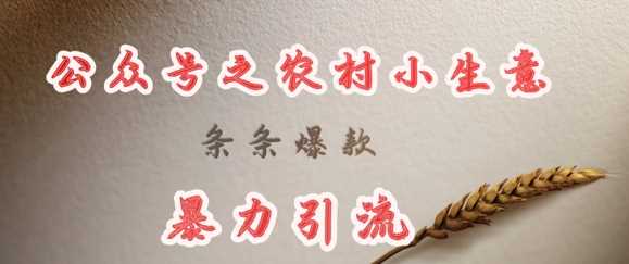 deepseek写农村小项目，条条爆款，暴力引流-富爸爸项目圈
