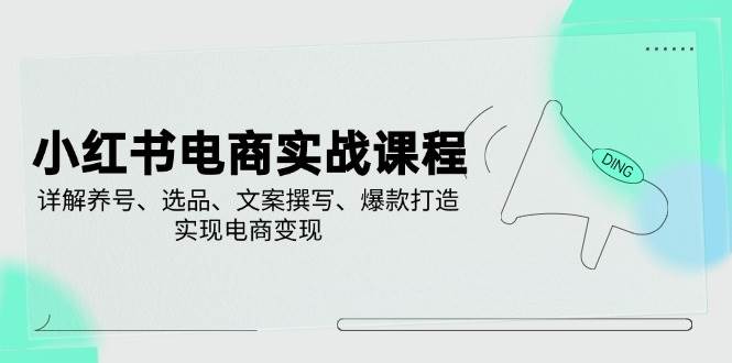 小红书电商实战课程，详解养号、选品、文案撰写、爆款打造，实现电商变现-富爸爸项目圈