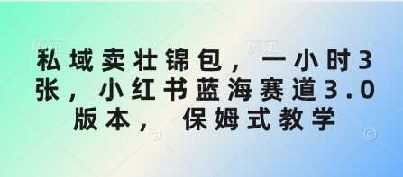 私域卖壮锦包，一小时3张，小红书蓝海赛道3.0版本， 保姆式教学-富爸爸项目圈