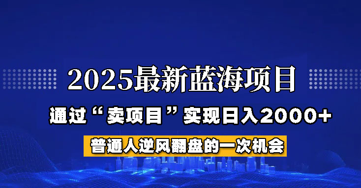 2025年蓝海项目，如何通过“网创项目”日入2000+-富爸爸项目圈