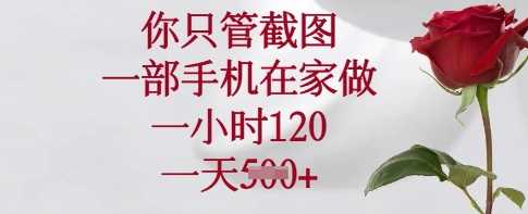 你只管截图，一部手机在家做，一小时120.一天5张【揭秘】-富爸爸项目圈