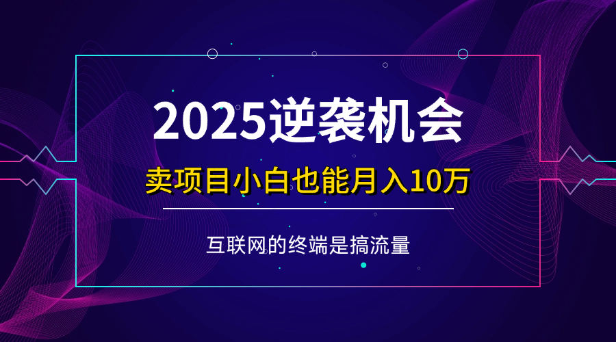（14122期）项目标题：2025逆袭机会，卖项目小白也能轻松月入10万+-富爸爸项目圈