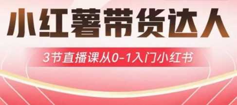 小红薯达人带货启航计划，3节直播课从0-1入门小红书-富爸爸项目圈
