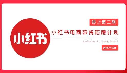 2025小红书虚拟电商实战课，从0到1打造无货源店铺，AI+爆款笔记轻松变现-富爸爸项目圈