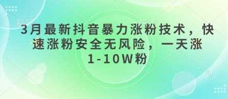 3月最新抖音暴力涨粉技术，快速涨粉安全无风险，一天涨1-10W粉-富爸爸项目圈