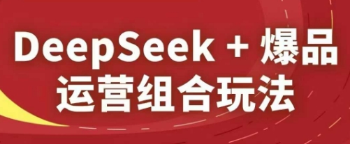 DeepSeek+爆品运营组合玩法，2025淘系精品课-富爸爸项目圈