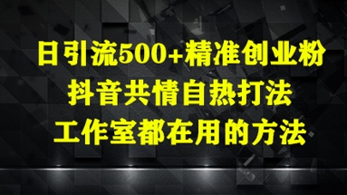 日引流500+精准创业粉，抖音共情自热打法，工作室都在用的方法-富爸爸项目圈