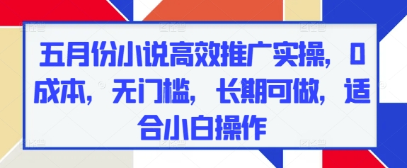 五月份小说高效推广实操，0成本，无门槛，长期可做，适合小白操作-富爸爸项目圈