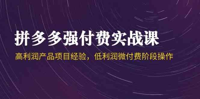 拼多多强付费实战课-44期，高利润产品项目经验，低利润微付费阶段操作-富爸爸项目圈
