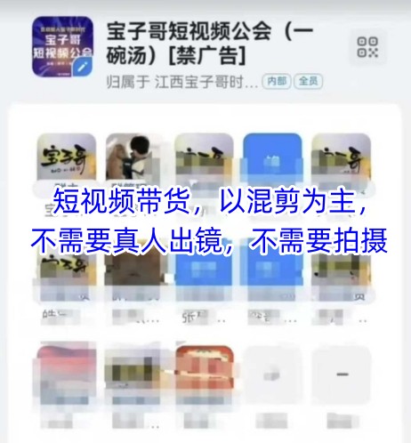 宝子哥头部团队短视频带货，以混剪为主，不需要真人出镜，不需要拍摄【更新】-富爸爸项目圈