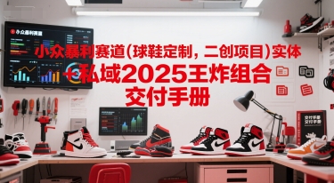 小众暴利赛道(球鞋定制，二创项目)实体+私域2025王炸组合  交付手册-富爸爸项目圈
