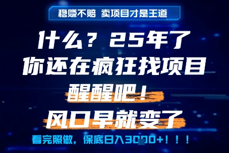 什么？25年你还在疯狂找项目做，醒醒吧，看完这些你全都懂了！【揭秘】-富爸爸项目圈