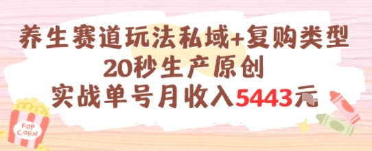养生赛道玩法私域+复购类型，20秒生产原创实战单号月收入5k+-富爸爸项目圈