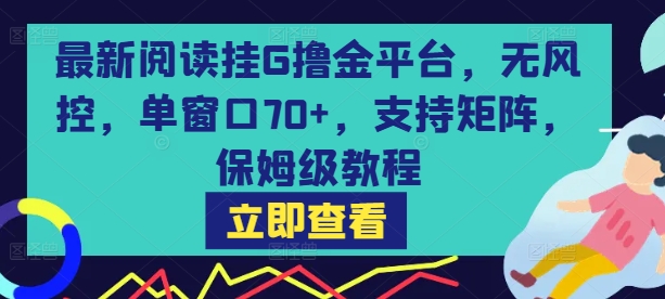 最新阅读挂G撸金平台，无风控，单窗口70+，支持矩阵，保姆级教程【揭秘】-富爸爸项目圈