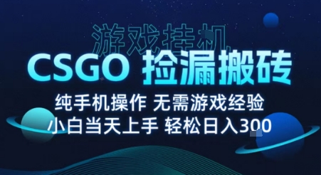 8月最新游戏搬砖，CSGO纯挂G，不需要玩游戏，实现真挂G，月入1W+【揭秘】-富爸爸项目圈