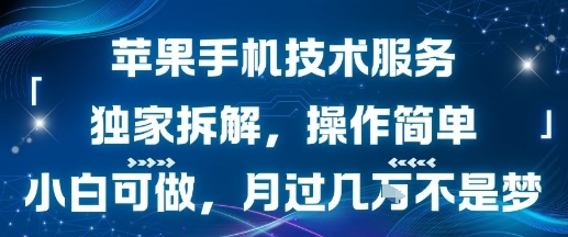 苹果手机技术服务，独家拆解，操作简单，小白可做，月过1W不是梦-富爸爸项目圈