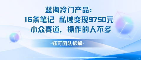 蓝海项目：16条笔记私域变现9750米小众赛道操作的人不多-富爸爸项目圈