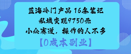 蓝海冷门产品：16条笔记私域变现9750米小众赛道，操作的人不多-富爸爸项目圈